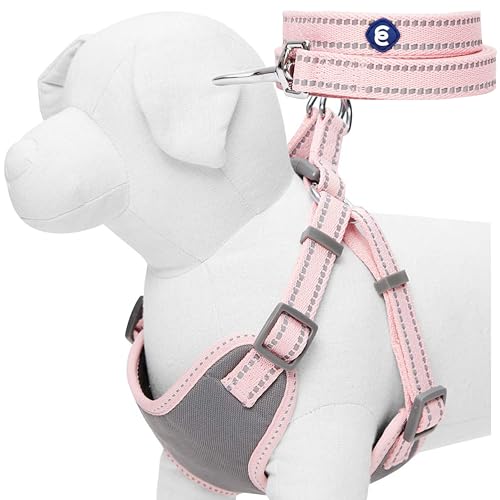 Blueberry Pet Matching Reflective Harness and Leash Set | Adjustable Pastel Vest with Lead for Dogs – Great Value Gift Set...