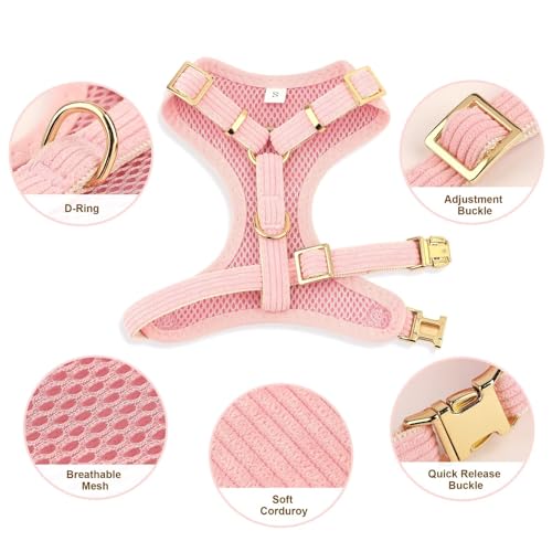 Didog Cute Small Dog Harness Collar and Leash Set with Bowtie, Breathable Soft Mesh Padded Puppy Harness, Pink Dog Harness...