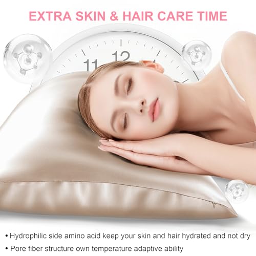 Mulberry Silk Pillow Cases 2 Pack Standard Size 20x26 Inches with Hidden Zipper, Ultra Smooth and Soft Breathable Cooling ...