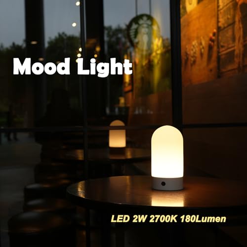 WEILAILUX Battery Operated Shower Lamp Waterproof, Small Portable Cordless Table Lamp Rechargeable, Touch Dimmable Mood Li...