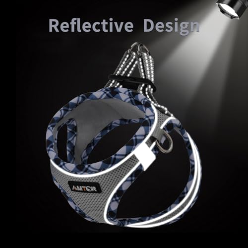 AMTOR Small Dog Harness with Leash Set, No Escape Easy Walk Puppy Harnesses for Training Walking, Step-in Reflective Soft ...