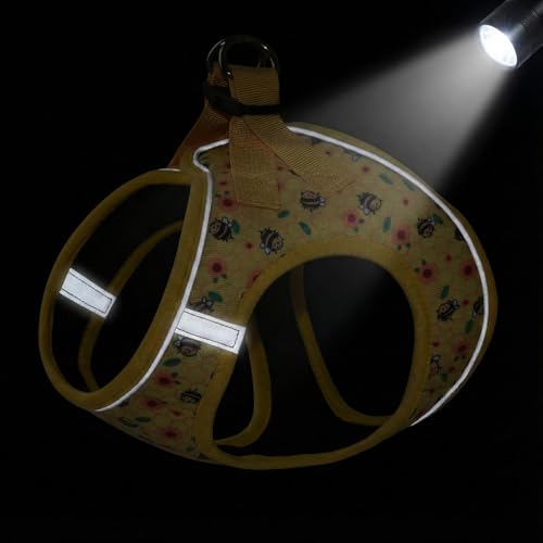 Mihqy Step in Dog Harness and Leash Set, Reflective Adjustable No Pull Dog Harness for Extra-Small/Small Dogs Puppy and Ca...