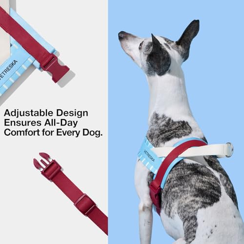 VETRESKA Dog Harness Small Sized Dog, Adjustable No Choke Puppy Harness No Pull, Easy Control Pet Harness Vest for Dogs, C...