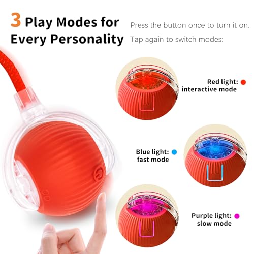 MAXTOOA Interactive Cat Toys for Indoor Cats Smart Automatic Ball Rolling for Bored Kitten Pet Upgraded Speedy Moving Chas...