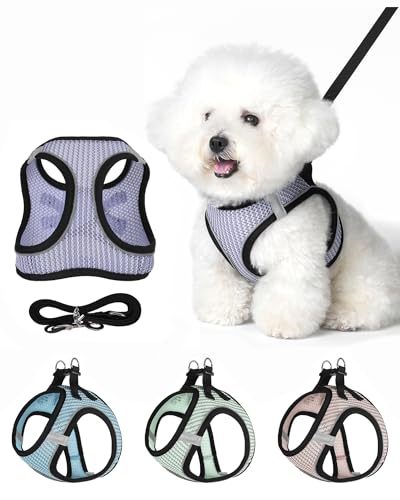 VernAlly Dog Harness Small Sized and Leash Set, Step in Soft Light Puppy Vest, Breathable Mesh Pet Harness Suitable for Pu...