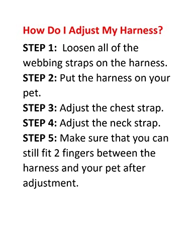 Best Pet Supplies Voyager Adjustable Step-in Flex Breathable Mesh Dog Harness for Small Medium Large Dogs Leash Set (Red), S