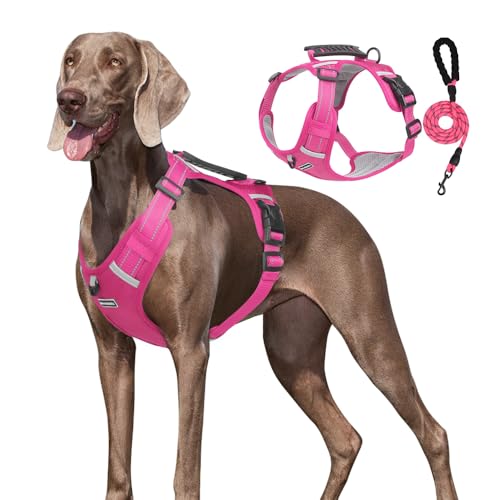 UNA MASCOTA Dog Harness No Pull Adjustable Reflective,for Medium and Large Small Dog with Leash 59.06in (Fuscia, XL)
