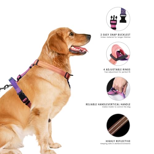 Roses&Poetry Dog Harness for Large Dogs, No-Pull Dog Harness and Leash Set Adjustable Reflective, Dog Vest Harnesses Comfo...