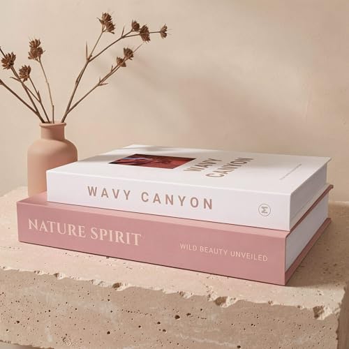 MAOBUYOU Elegant Decorative Books - Set of 2 Stylish Fake/FauxBook Boxes for Coffee Table, Bookshelf and Mantel Decor, Mod...