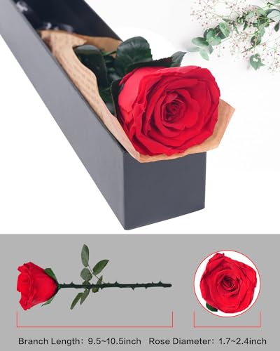 YAMPP Preserved Flowers Gifts for Women: Valentines Day Mothers Day Birthday Christmas Anniversary Wedding Gift for Mom Gi...