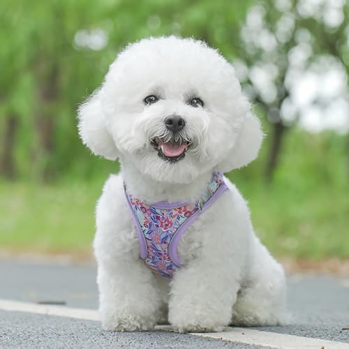 Step in Dog Harness and Leash Set, Flower Adjustable Easy Walk Puppy Harnesses, Soft Mesh Pet Vest Harness Small Size Dog ...