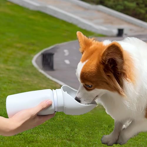 Foldable Portable Dog Water Bottle, 2 in 1 Integrated Collapsible Dog Water Bowl & Travel Dispenser, Leak-Proof Portable P...