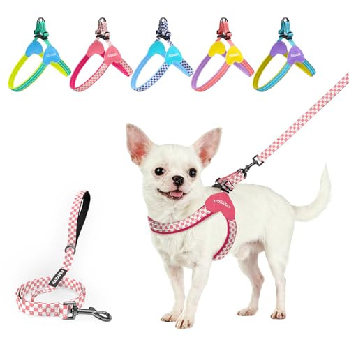 Kazazoo No Pull Small Dog Harness and Leash Set, Adjustable Puppy Soft Vest Harness with Breathable Mesh Padded, Reflectiv...