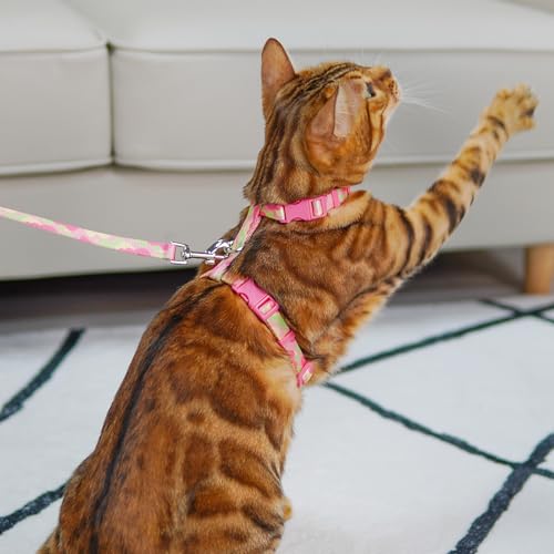 azuza Cat Harness and Leash Set for Safe Walking and Travel, Escape Proof Cat Harness, Lightweight Soft and Comfortable, A...