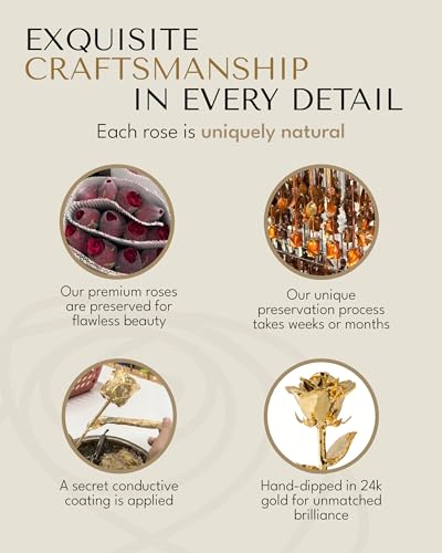 Forever Rose 24K Gold Dipped Real Rose – Handmade, Long-Lasting Preserved Flower in Glass Vase & Gold Box, Romantic Gift f...