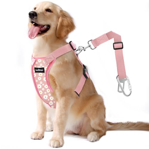 VavoPaw Dog Seat Belt, Safety Vest Dog Car Harness with Adjustable Buckle Dog Seat Belt for Vehicle Nylon Pet Safety Seat ...
