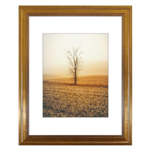 Golden State Art, 11x14 Photo Frame with White Mat for 8x10 Pictures & Real Glass, 1.25-Inch Wide, Dark Gold