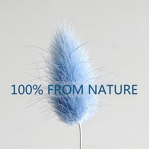 120 PCS Blue Dried Pampas Grass Decor, 17-inch Pompas Floral, Dry Flowers for Decoration, Pampas Grass in Bulk Tall, Blue ...