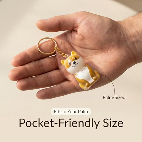 BeSpace Dog Hair Keepsake, Dog Hair Collector Keychain Charm Memorial Storage Box, Pet fur Collection Transparent Capsule,...