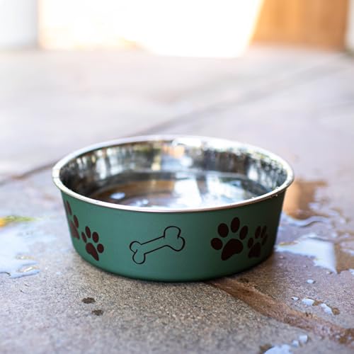 Loving Pets Bella Dog Bowls- Stainless Steel Dog & Cat Bowls - Spill Proof Dog Food Bowl, Cat Bowl, Puppy Essentials & Pet...