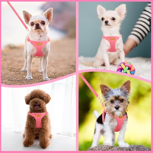 Lukovee No Pull Small Dog Harness with Leash - Lightweight Soft Puppy Vest Harnesses, Adjustable Pet Harnesses for Puppy S...