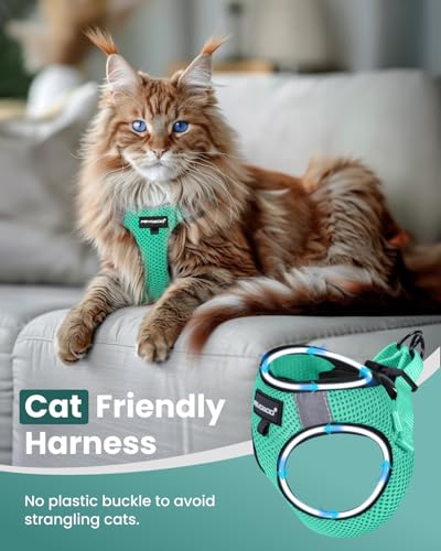 FAYOGOO Escape Proof Cat Harness and Leash Set for Walking, Secure-Fit Step-in Cat Vest Harness, Soft & Lightweight for Ki...