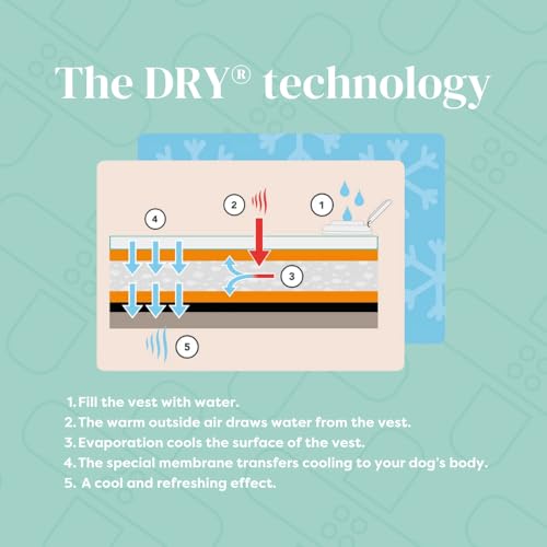 Suitical Dry Cooling Vest for Dogs | Canine Cooling Vest for Hot Weather | Dog Cool Down Jacket | Machine Washable | S | N...