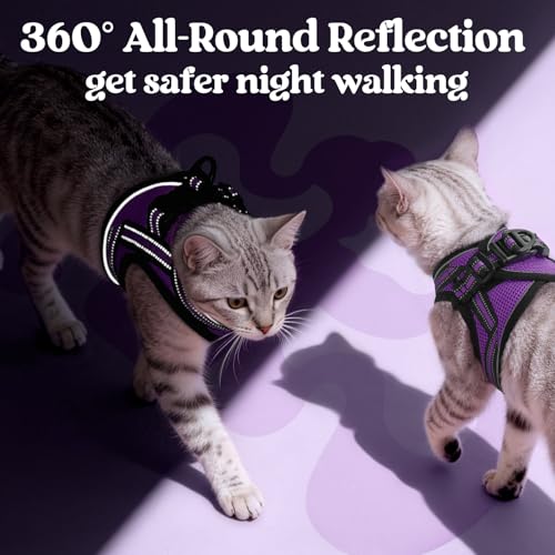 rabbitgoo Cat Harness and Leash Set for Walking Escape Proof, Adjustable Soft Kittens Vest with Reflective Strip for Cats,...
