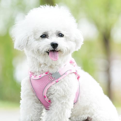 Petank Dog Harness for Small Medium Dogs No Pull, Puppy Harness and Leash Set, Mesh Adjustable Breathable Light Vest for W...