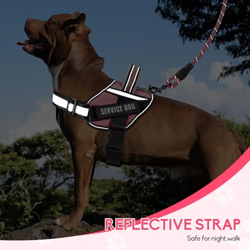 Service Dog Vest Harness and Leash Set, Animire in Training Dog Harness with 10 Dog Patches, Reflective Dog Leash with Sof...