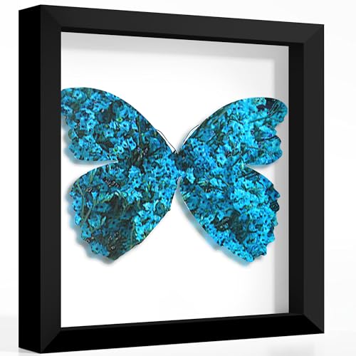 Picrit Shadow Box Frame 12x12, Display Case Box with High Definition Real Glass and Black Back for Memorabilia, Baby Item...