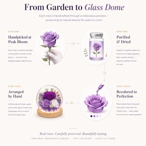FIACO Gifts for Women Mom Mothers Day Birthday Preserved Flowers in Glass Dome Forever Fresh Flowers for Delivery Eternal ...
