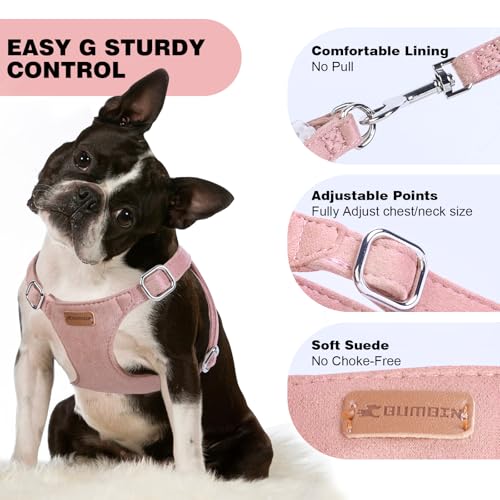Dog Harness and Leash Set, XXS No Pull Adjustable Puppy Harness with Multifunction Pink Dog Leash and Dog Collar, Soft No ...