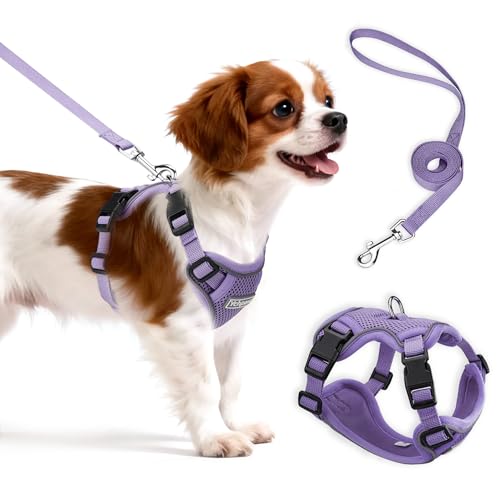 Ychpaw Small Dog Harness and Leash Set, Reflective Soft Breathable Mesh Vest, 3 Buckles, Adjustable Neck and Chest,Step in...