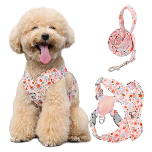 Pawaboo Small Dog Harness and Leash Set, Puppy Harness X-Frame No Pull No Choke, Dog Vest Harnesses Adjustable for Small M...