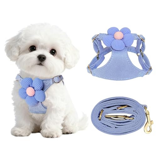 No Pull Dog Harness and Leash Set for Small Sized Dog Training; Puppy Harnesses with Multifunction Dog Leash, Soft Adjusta...