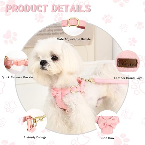 Guiding Star Dog Harness Small Sized Dog with Multifunction Leash, No Pull Puppy Dog Harness and Leash Set Training, Cute ...