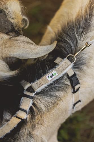 Goat Harness, Asatre Adjustable Lined Hemp Goat, Sheep, Livestock Halter, Durable Multi-Clasp Harness, Eco-Friendly Livest...