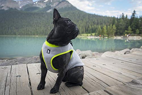 JUXZH Truelove Dog Cooling Vest Harness Cooler Jacket with Adjustable Zipper for Outdoor Hunting Training and Camping Green