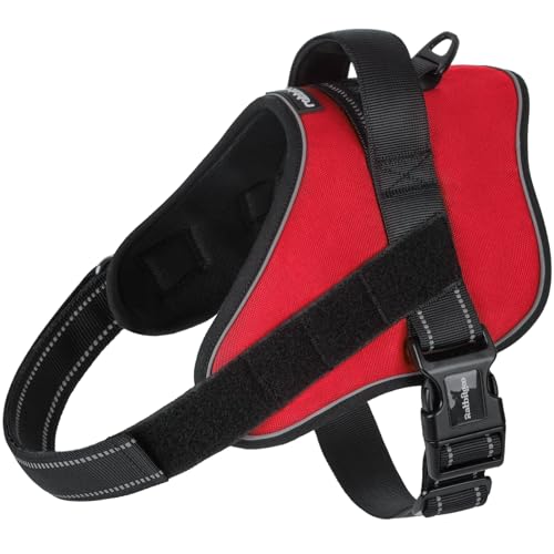 rabbitgoo Dog Harness Medium Sized Dog, Easy Wearing with One Buckle, No Choke No Pull Harness Buddy, Adjustable Reflectiv...