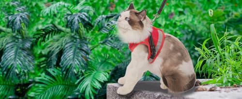 Cat Harness and Leash for Walking, Kitten Escape Proof Harnesses, Adjustable Reflective Puppy Harness with Leashes Set, Ea...
