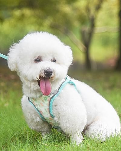 Aecllcea Dog Harness for Small Medium Dogs No Pull, Cat Harness and Leash Set, Step in Puppy Harness. (Green, S)