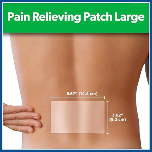 Salonpas Pain Relieving Patch, Large, 6 Count, for Back, Neck, Shoulder, Knee Pain and Muscle Soreness, 8 Hour Pain Relief