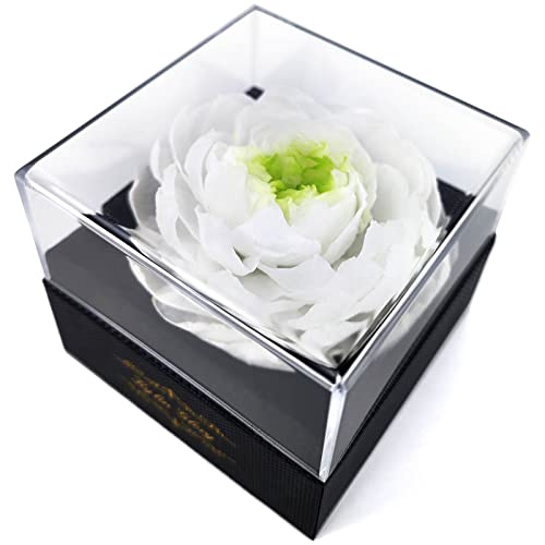 Fresh Cut Flower Preserved Peony for Women Mom Wife Girlfriend - Flower Gift Real Peony Decor for Mother's Day Valentine's...