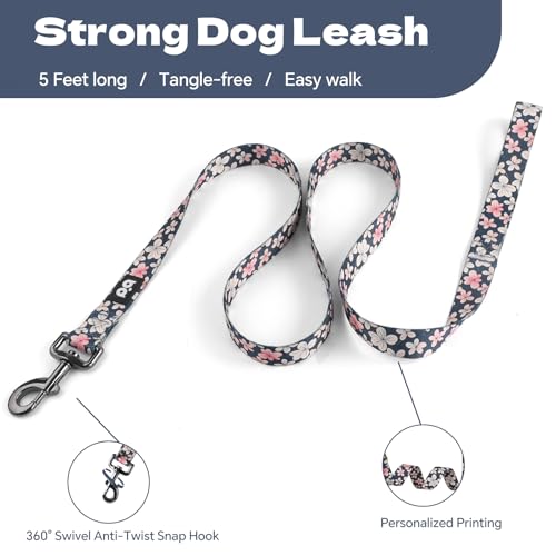 QQPETS Dog Harness Leash Set Adjustable Heavy Duty No Pull Halter Harnesses for Small Medium Large Breed Dogs Back Clip An...