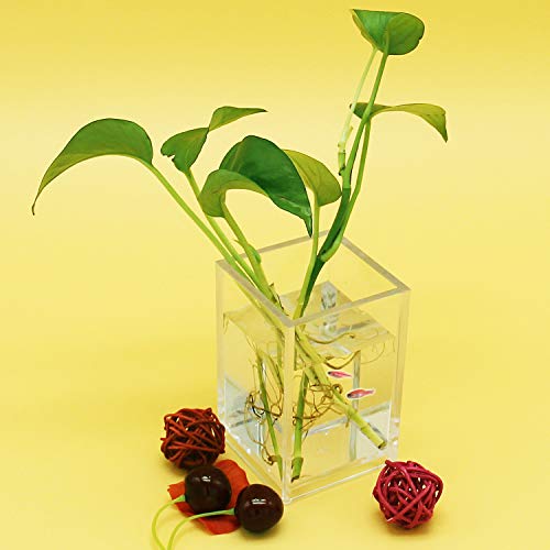 2 Pack Clear Acrylic Pencil Pen Holder Cup,Desk Accessories Holder,Makeup Brush Storage Organizer,Modern Design Desktop St...