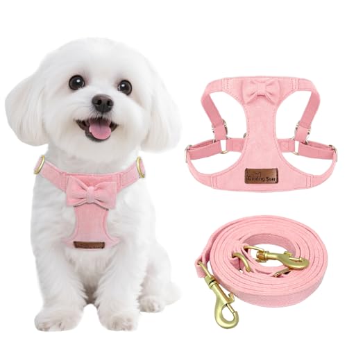 Guiding Star Dog Harness Small Sized Dog with Multifunction Leash, No Pull Puppy Dog Harness and Leash Set Training, Cute ...