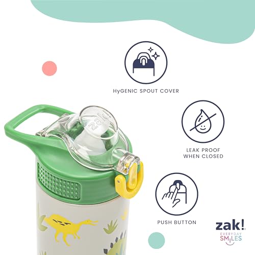 Zak Designs Sanrio Sage Kids Water Bottle For School or Travel, 19oz Stainless Steel Water Bottle With Straw, Handle, and ...