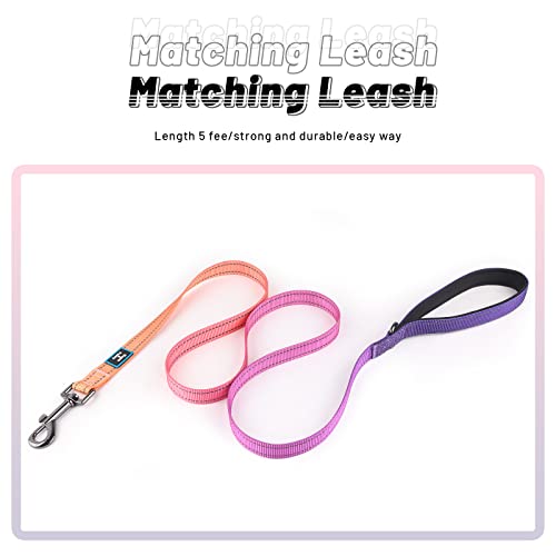 Roses&Poetry Puppy Dog Collar and Leash Set, Reflective Dog Leash for Small Dogs, Cute Matching Collars and Leashes Padded...