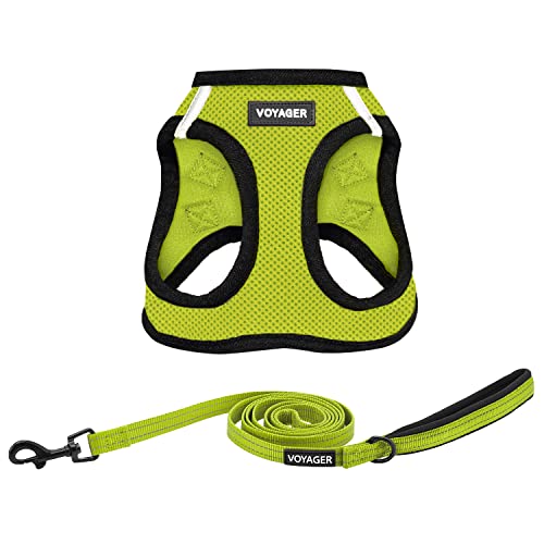 Best Pet Supplies Voyager Step-in Air All Weather Mesh Harness and Reflective Dog 5ft Leash Combo with Neoprene Handle, fo...